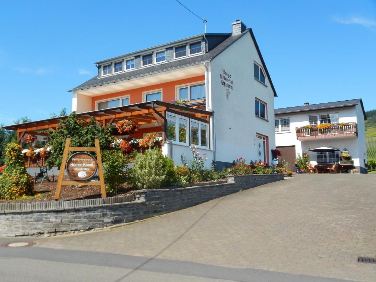 Ferienweinhaus Roemer-Knodt Kröv Екстериор снимка